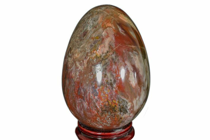 Colorful, Polished Petrified Wood Egg - Madagascar #172518